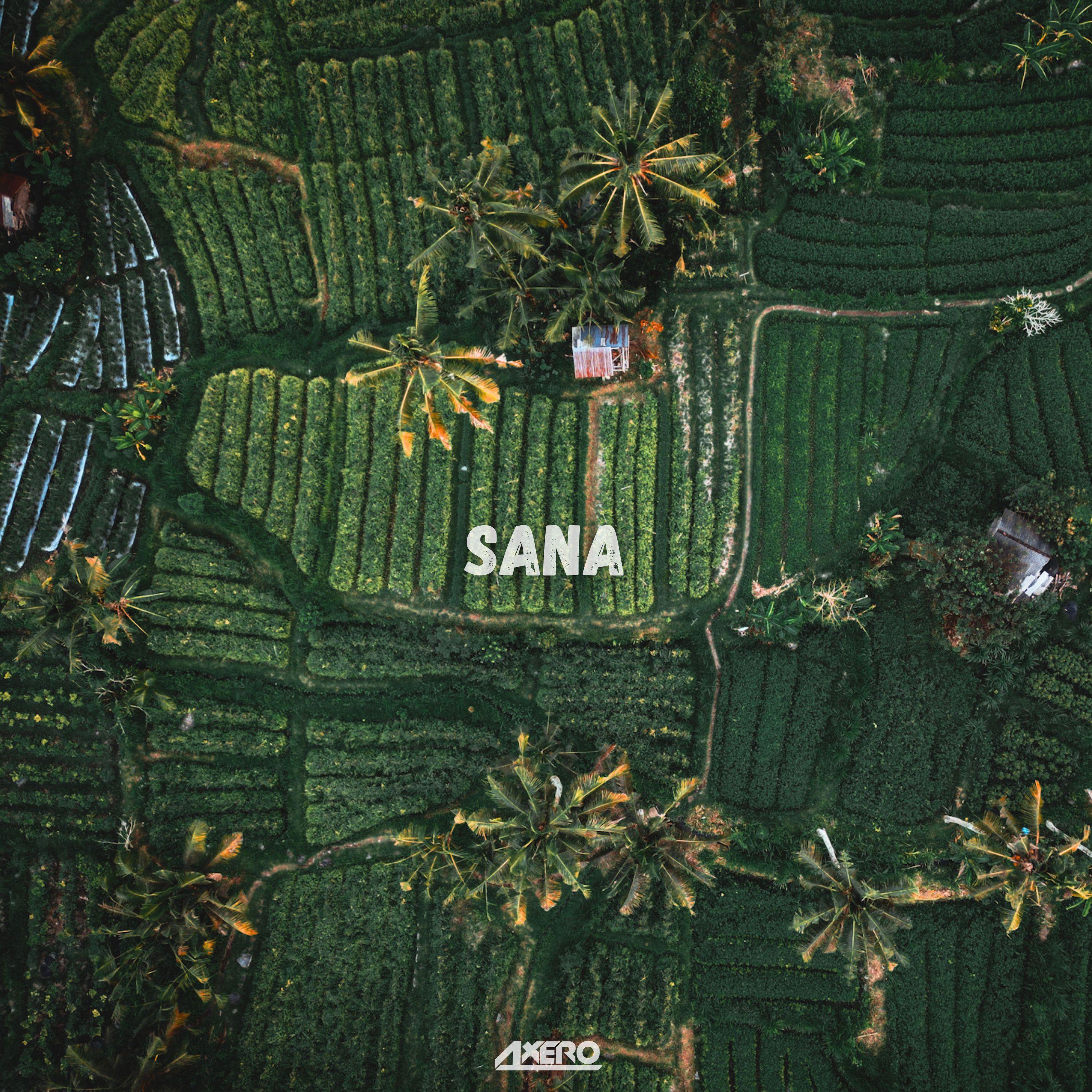 Sana专辑