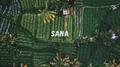 Sana专辑
