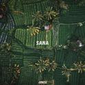 Sana专辑