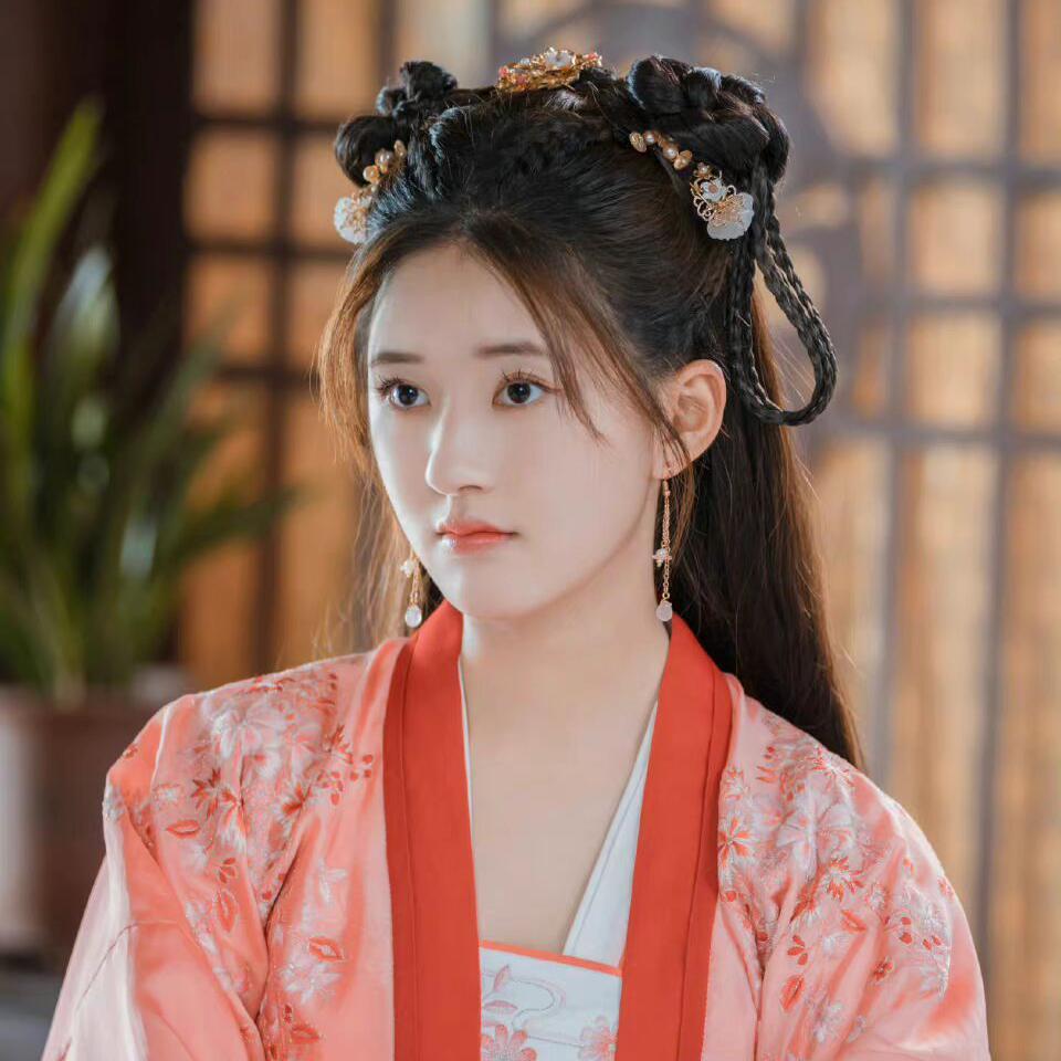 国子监来了个女弟子