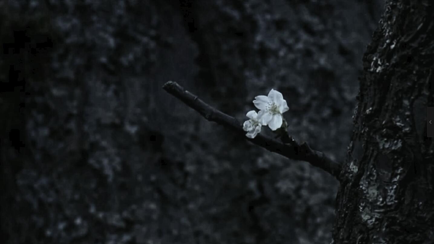 死に向かって ✿ 生きる专辑