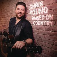 Chris Young - Raised On Country (PT karaoke) 带和声伴奏