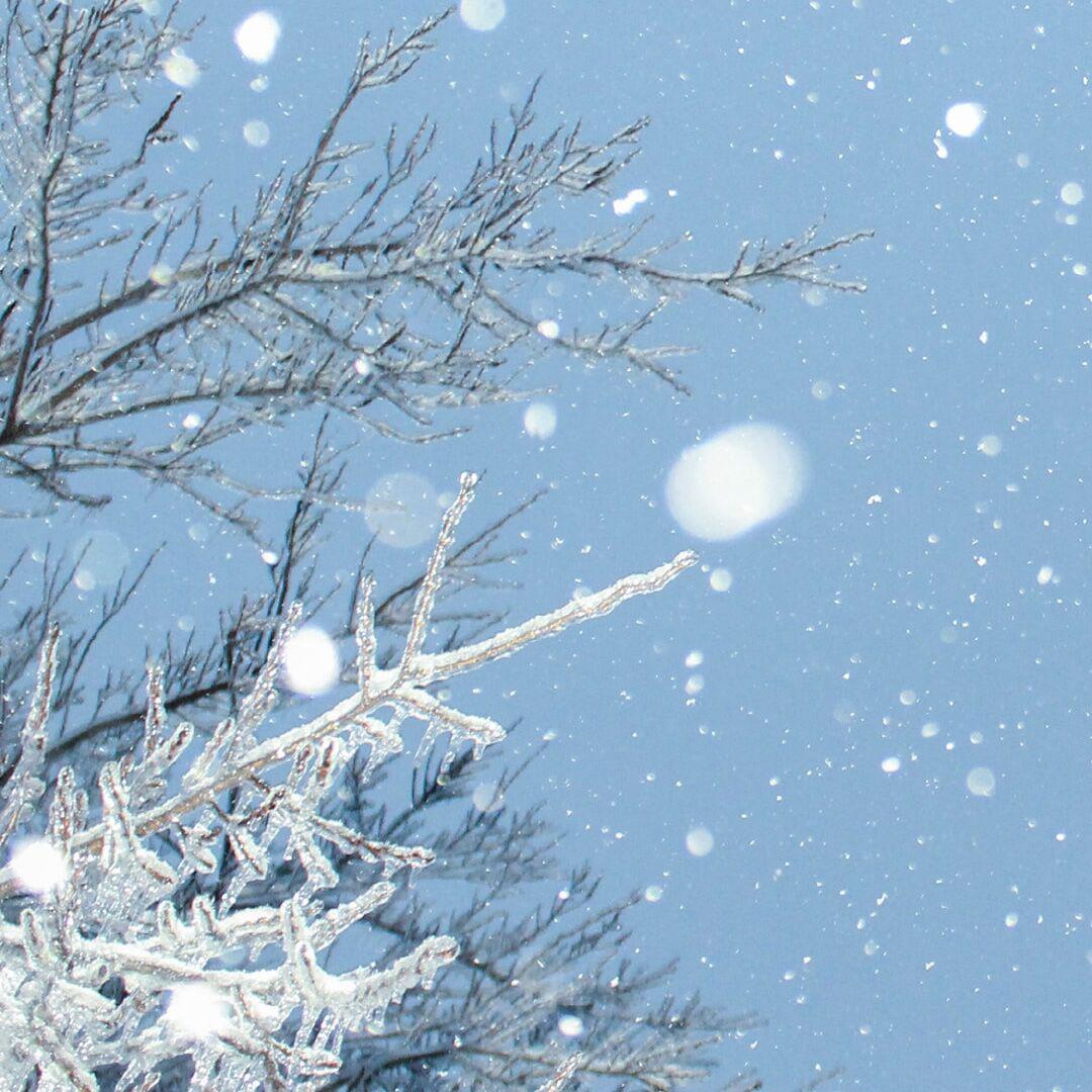 大雪