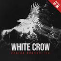 White Crow (Instrumentals)专辑