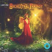 Orchestral Fantasy