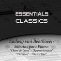 Beethoven - Piano Sonatas No.14 "Moonlight" - No. 8 "Pathetique" - No. 23 "Appasionatta" - Bagatelle专辑