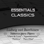 Beethoven - Piano Sonatas No.14 "Moonlight" - No. 8 "Pathetique" - No. 23 "Appasionatta" - Bagatelle