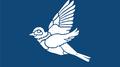 Bluebird专辑