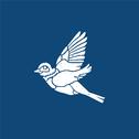 Bluebird专辑
