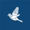 Bluebird专辑