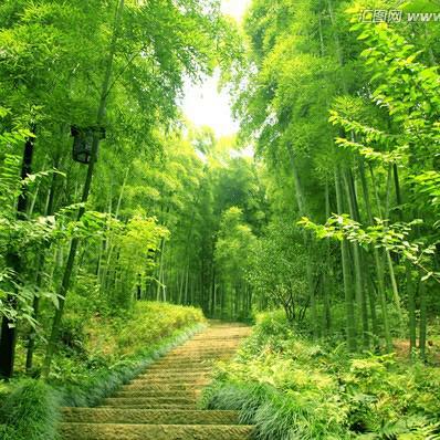 隐居山水之间［纯音乐］