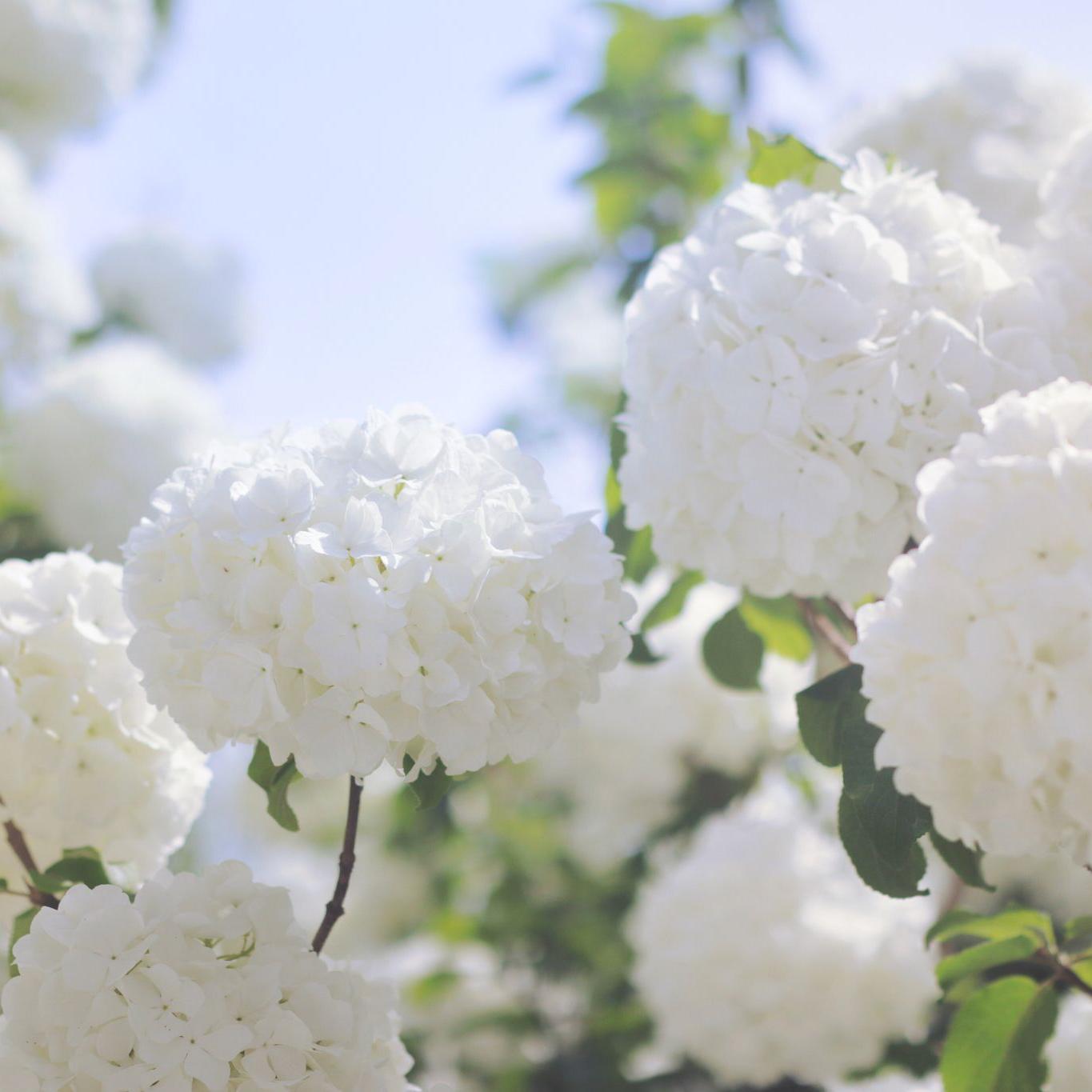 星光闪耀的时刻