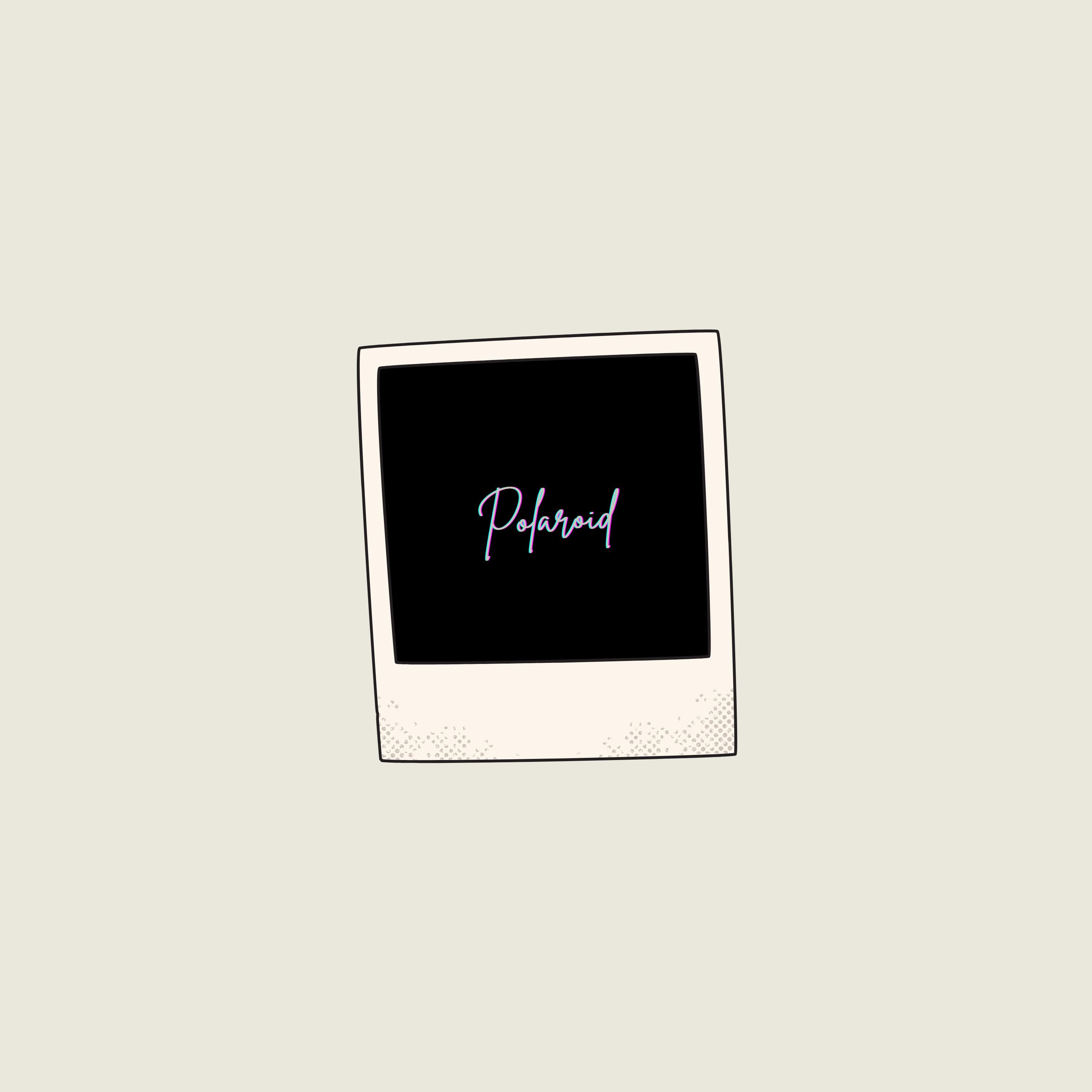 Polaroid