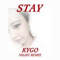 Stay（Night Remix）专辑