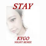 Stay（Night Remix）专辑