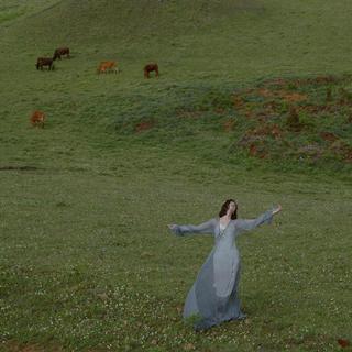 纯音秘境｜沉入无声对白