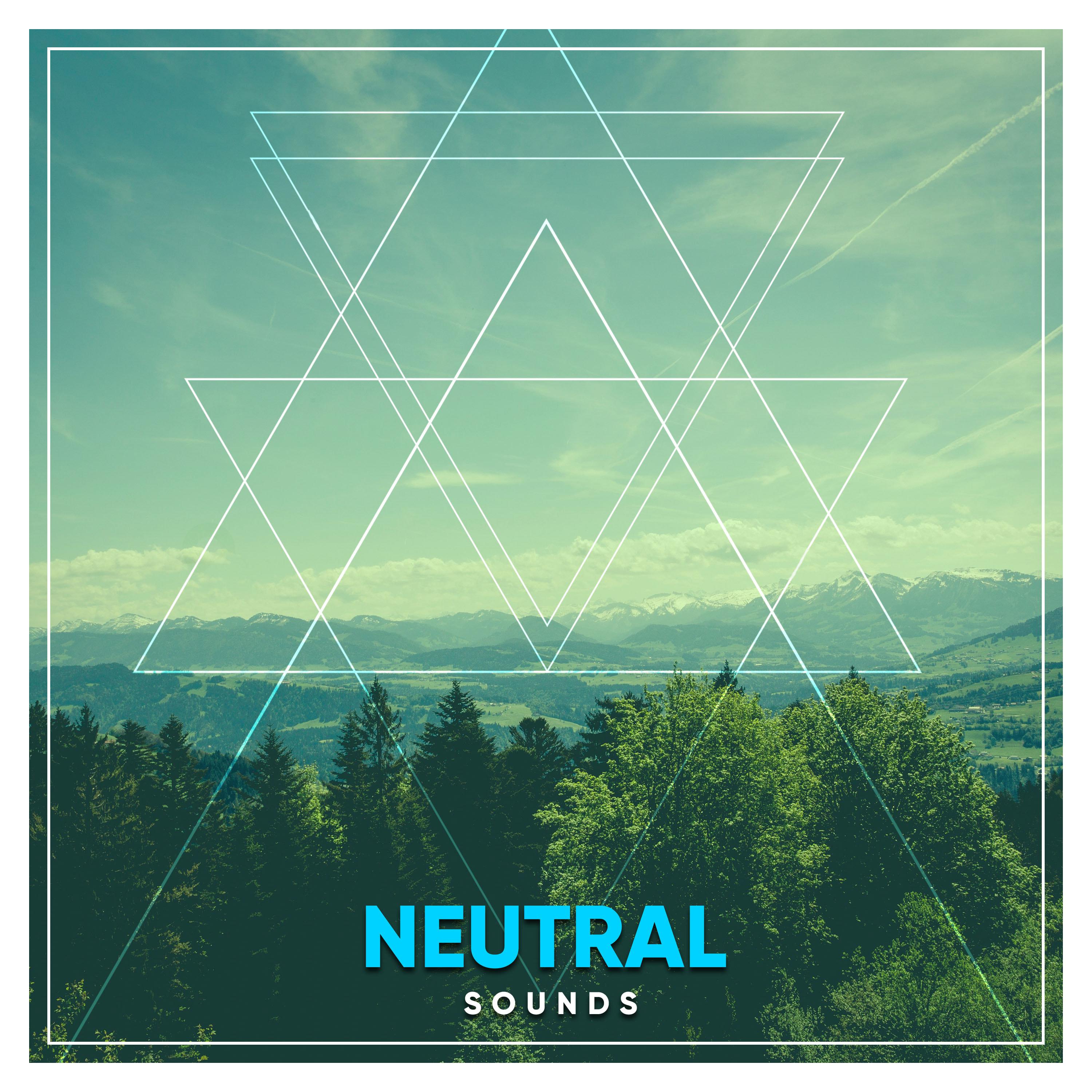 #1 Hour of Neutral Sounds for Meditation and Sleep专辑