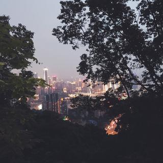 孤身化为林中燕」只为一人赏呢喃