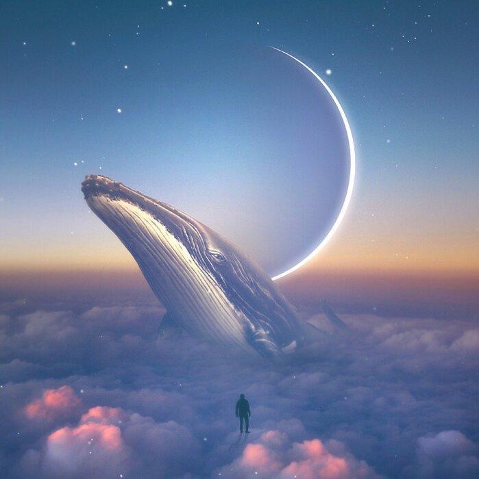 安眠白噪·纯音｜失眠患者的疗愈时刻