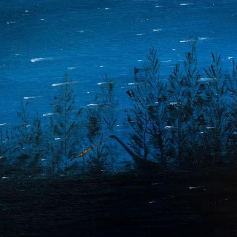 夏夜里