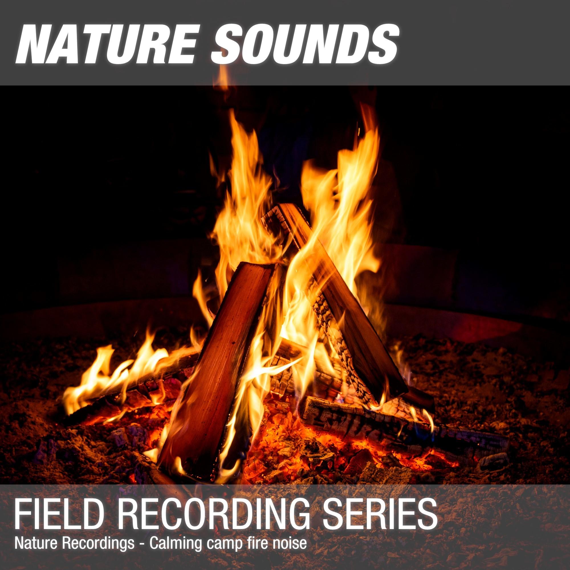 Nature Sounds for Sleep, Relaxation & Meditation (Calming camp fire noise) 02