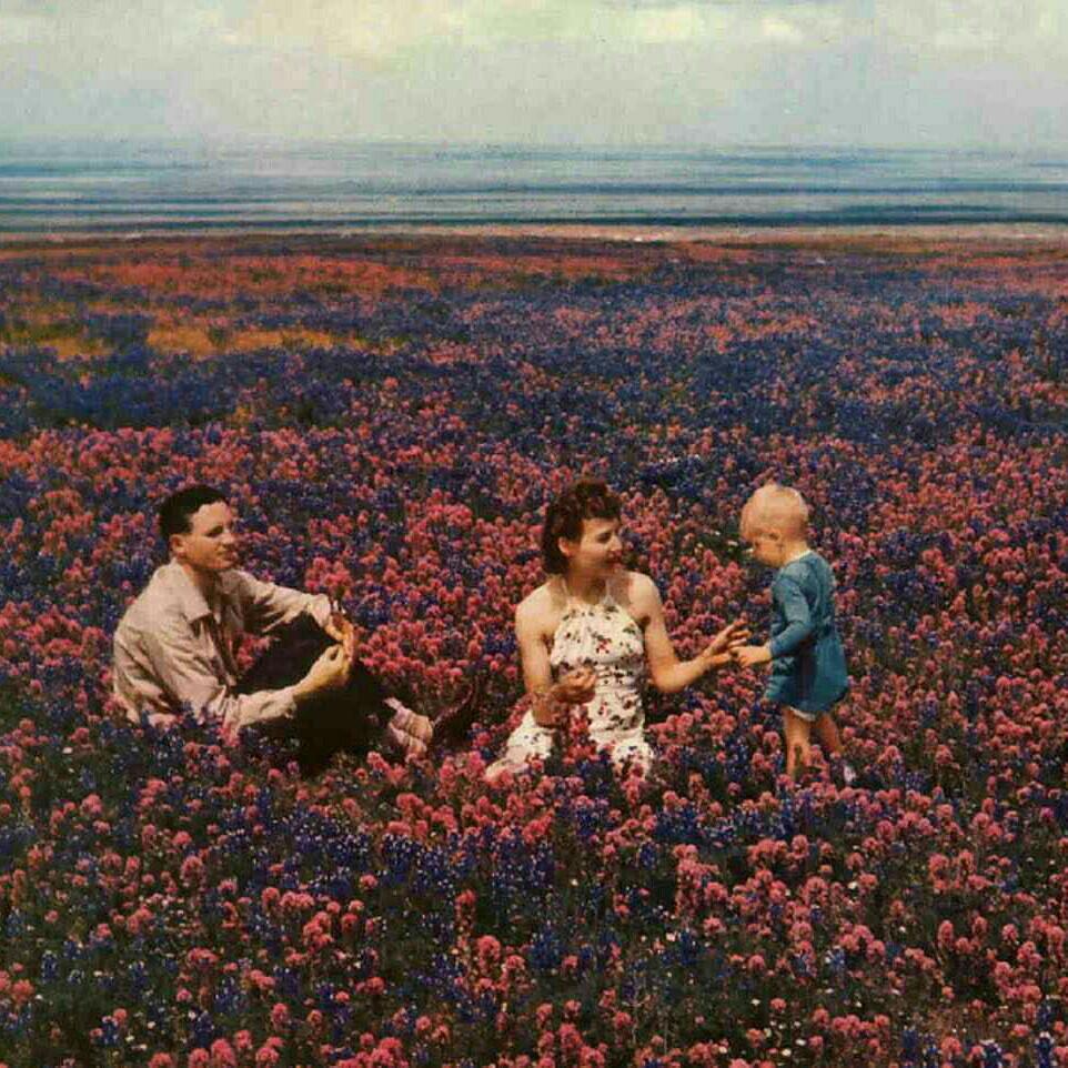 花海吟游者新民谣 | 在线播放 | 网易云音乐