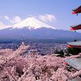 富士山下