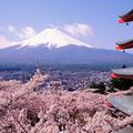 富士山下