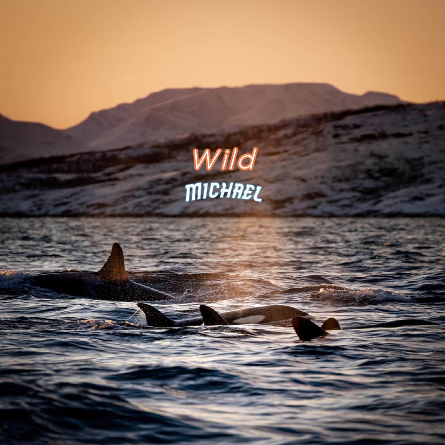 Wild
