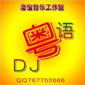 975D调【山丹丹开花红艳艳】DJ嗨曲高音质立体声伴奏