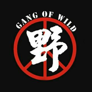 迷笛露营区必会歌曲&野团良心出品