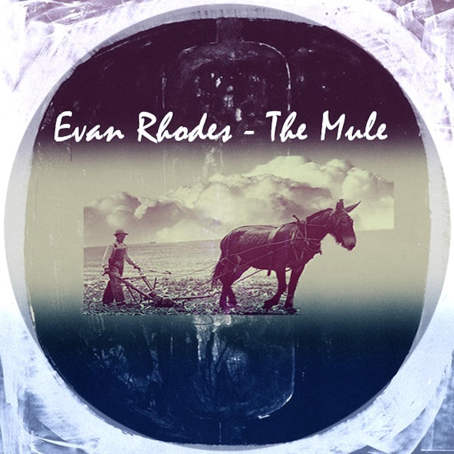 The Mule