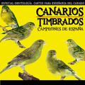 Canarios Timbrados Campeones de España. Especial Ornitología, Cantos Para Enseñanza del Canario Timb