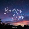 李诗恩 - Beautiful Night