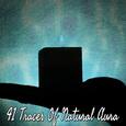 41 Traces Of Natural Aura