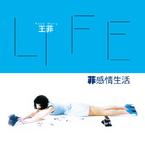 王菲《执迷不悔吉他谱》G调_让人沉醉其中