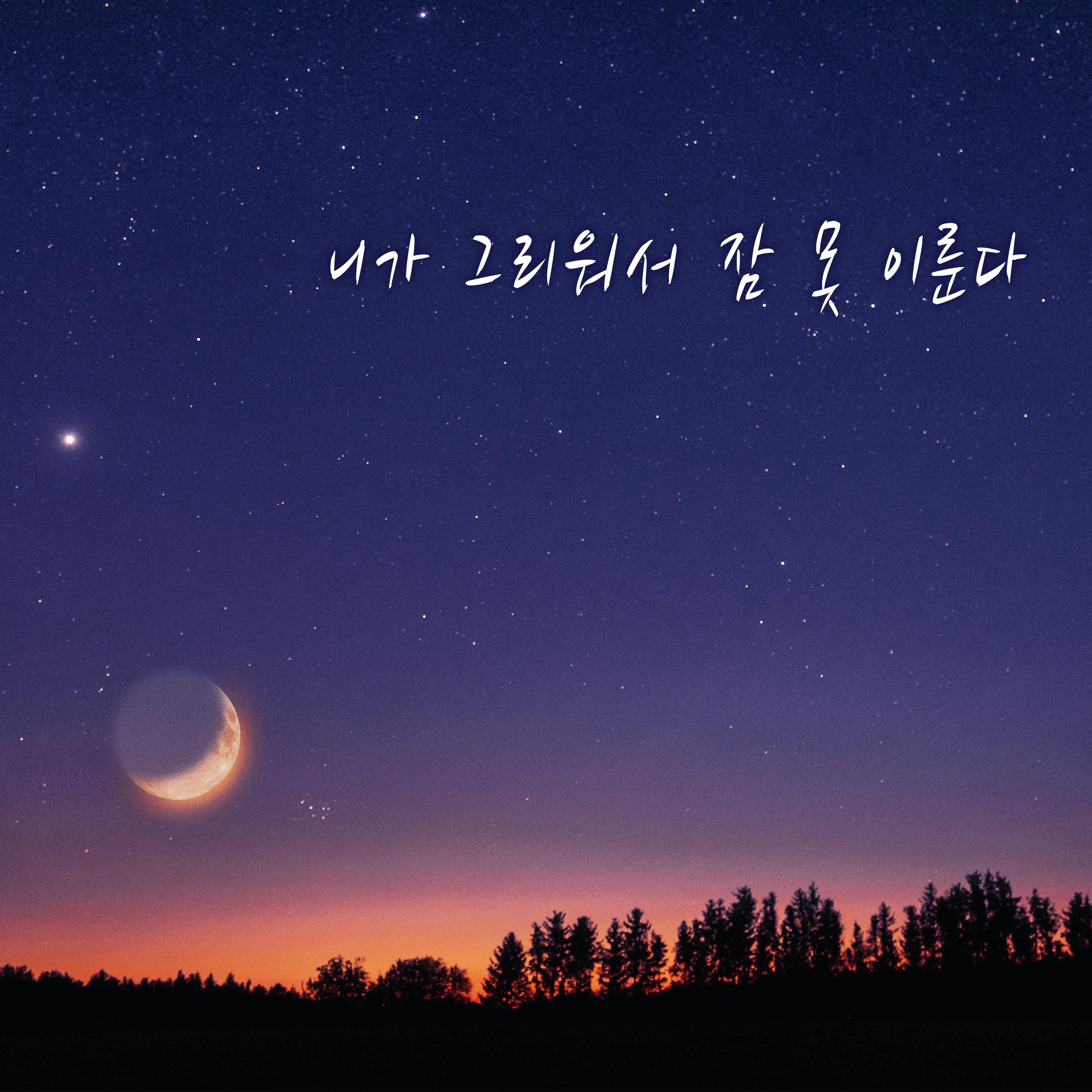 니가 그리워서 잠 못 이룬다