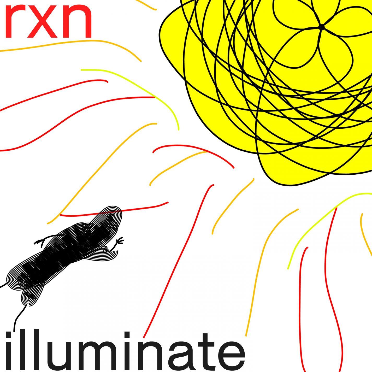 Illuminate