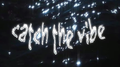 Catch The Vibe专辑