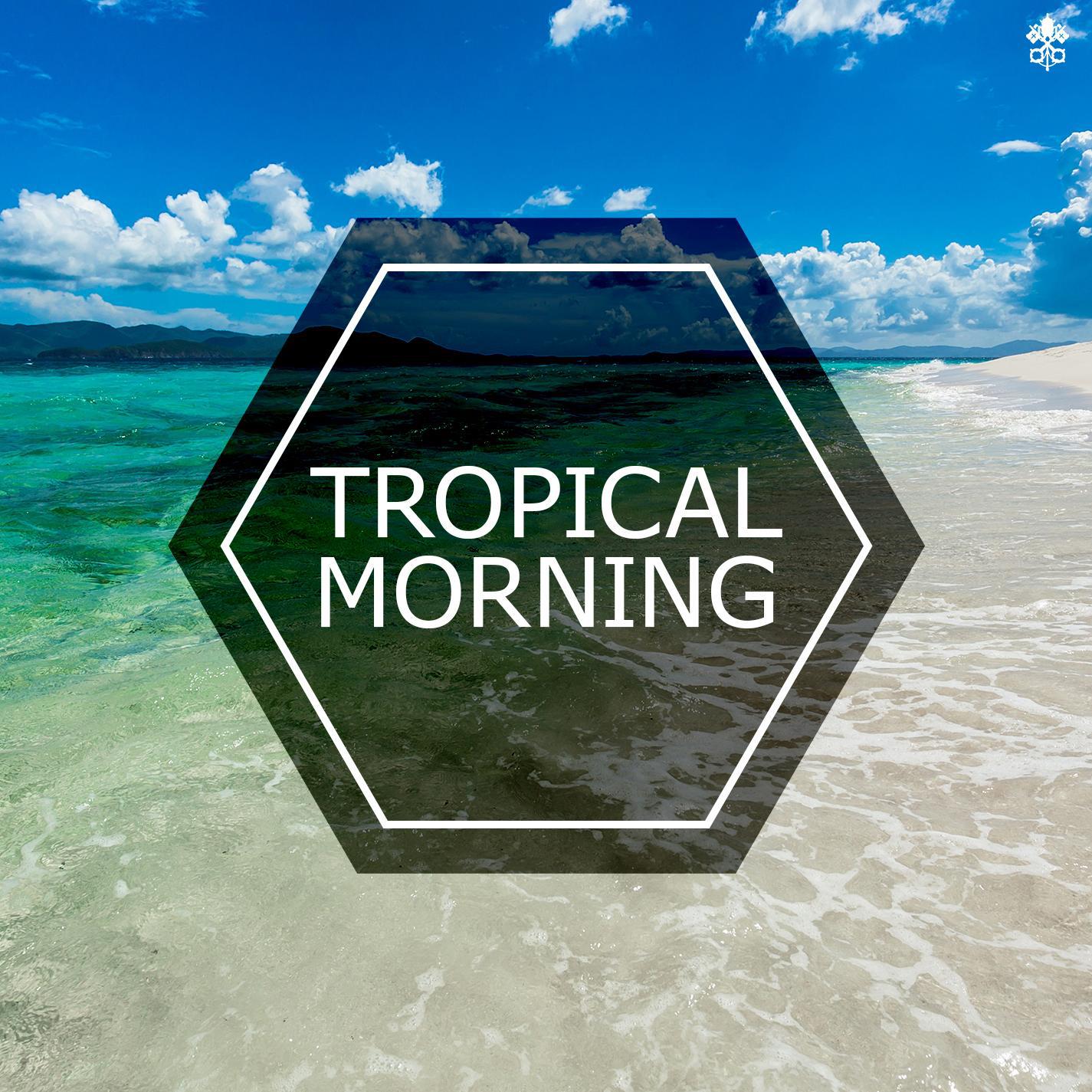 Tropical morning专辑