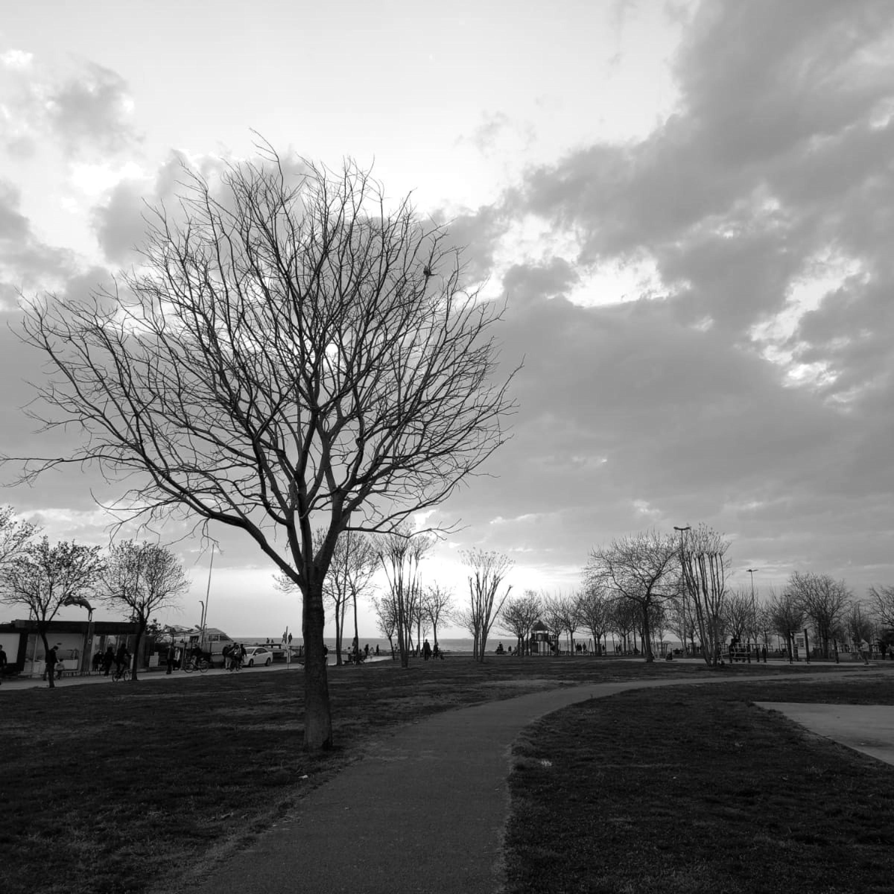 Walk