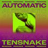 Tensnake - Automatic (Kraak & Smaak Extended Remix)