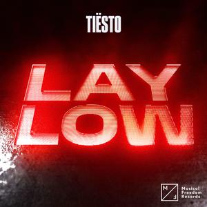 Tiësto - Lay Low (BB Instrumental) 无和声伴奏 （升2半音）