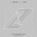 A Different Way (Ibranovski Remix)专辑