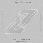 A Different Way (Ibranovski Remix)专辑