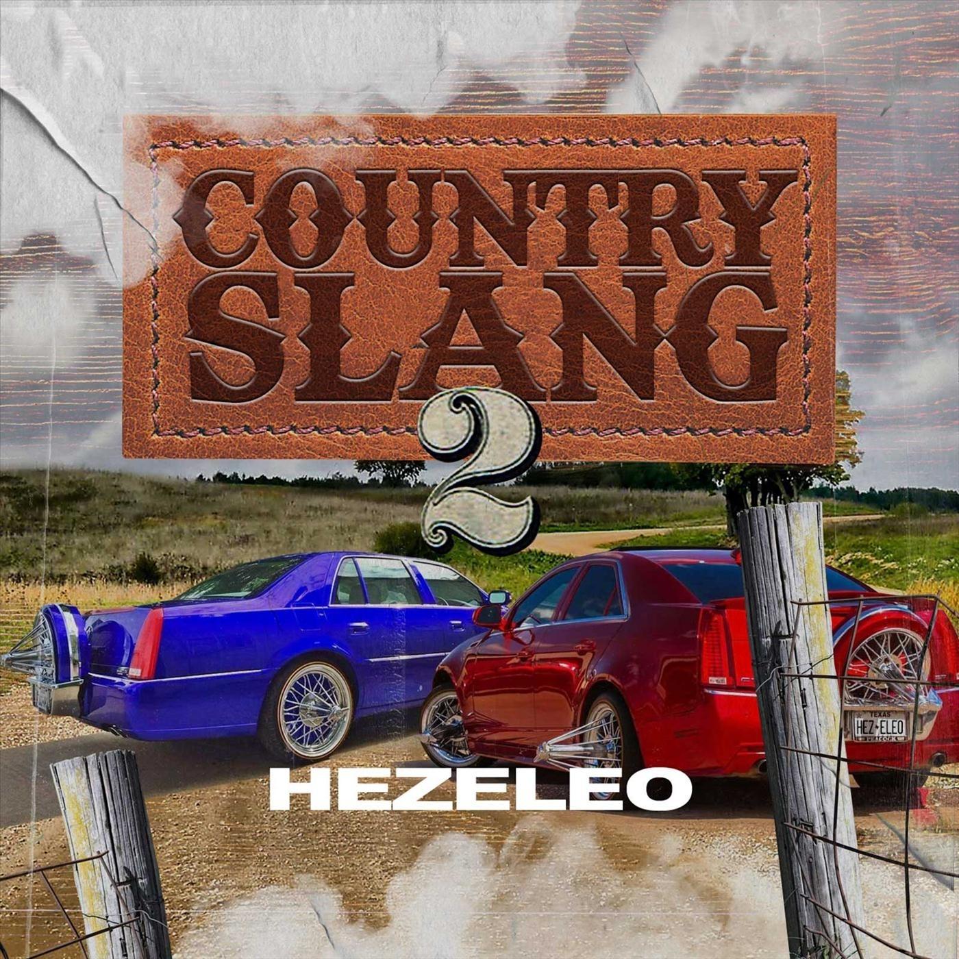 Country Slang 2