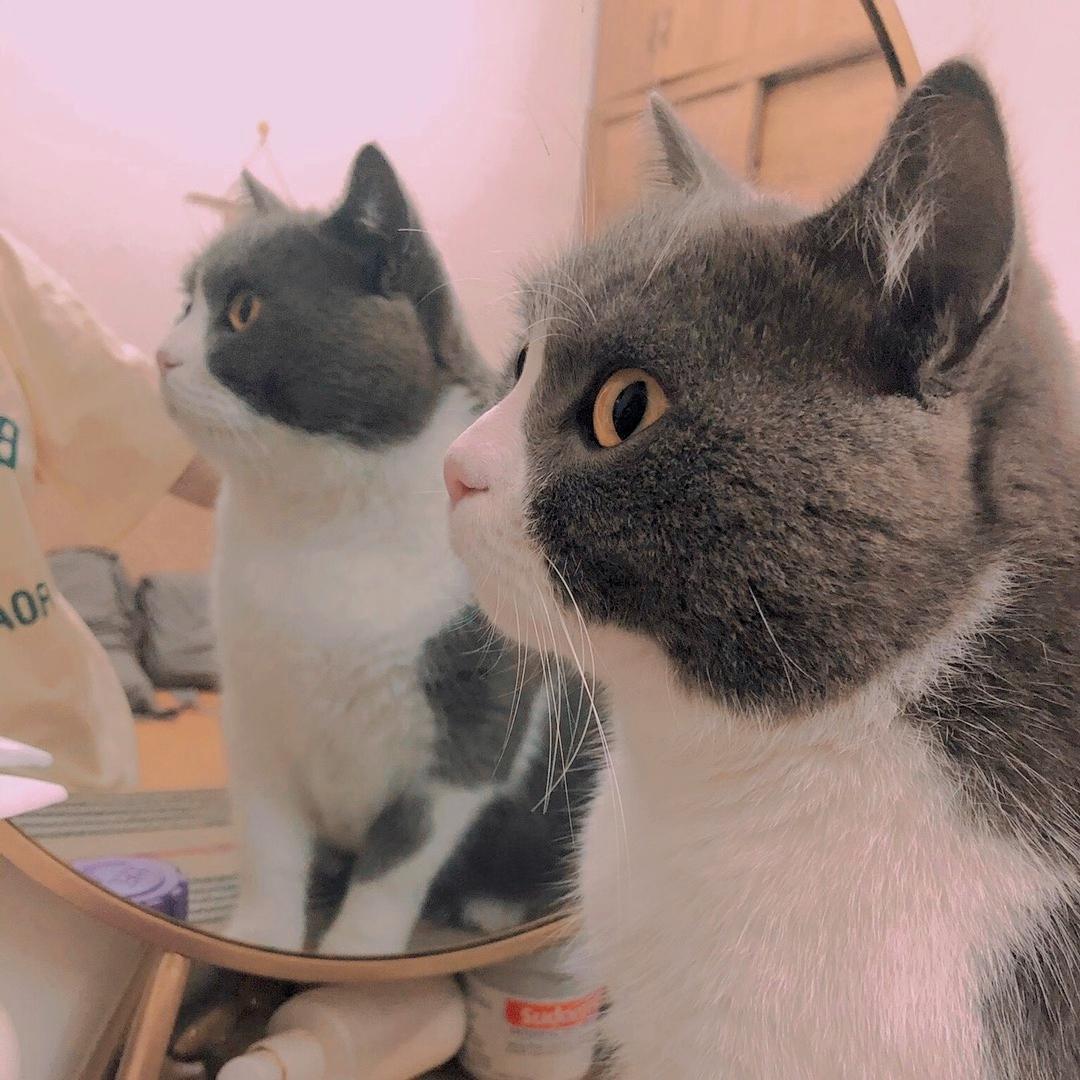 warm（cover Dre'es MIA）（翻自 Dre'es）