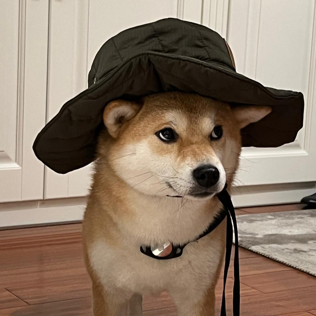 不哭不哭眼泪是珍珠