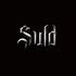 战旗乐队SULD