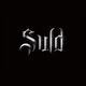 战旗乐队SULD
